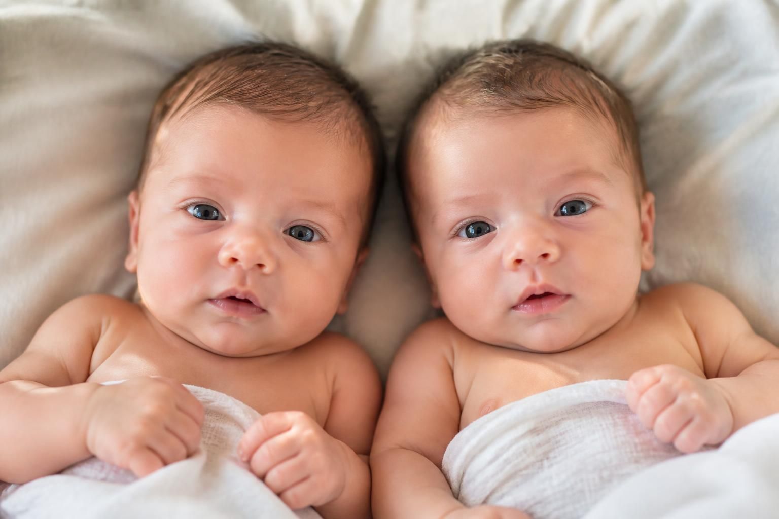 découvrez pourquoi les jumeaux monozygotes présentent une ressemblance physique si frappante grâce à l'explication scientifique de leur origine génétique commune.